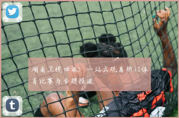湖南卫视回放：一站式观看热门体育比赛与专题报道